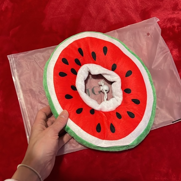 Watermellow soft donut cone for dogs or cat - Picture 3 of 3